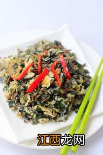 马齿苋菜炒鸡蛋能什么