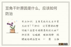 豆角干叶原因是什么，应该如何防治