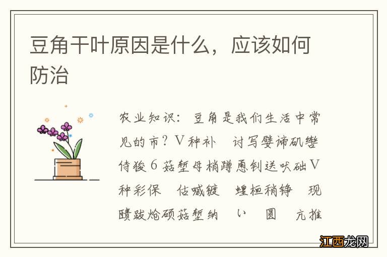 豆角干叶原因是什么，应该如何防治