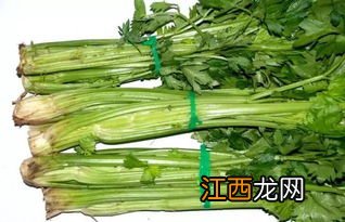 芹菜能跟什么菜一起吃吗