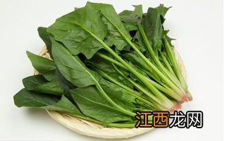 吃菠菜后多久可以吃柿子