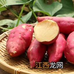 番薯怎么吃最有营养价值