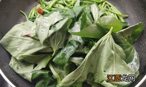 番薯茎叶怎么烧
