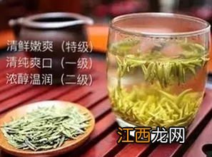 种黄茶白茶效益怎么样