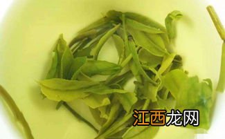 种黄茶白茶效益怎么样