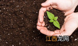 果树种植区土壤改良方法视频 果树种植区土壤改良方法