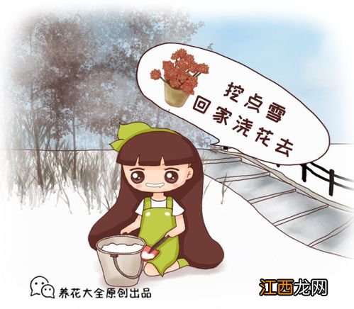 用尿浇花好不好