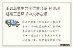 王思凤书中文字位置介绍 孙美琪疑案王思凤书中文字在哪