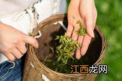 茶叶 农药残留 怎么喝