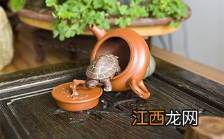 茶宠 小茶壶怎么养