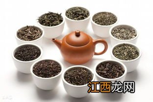 喝茶的茶虫怎么用