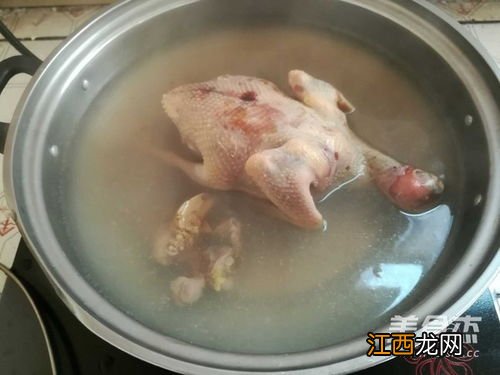 鸽子顿什么大补