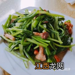 广东菜心要煮多久能熟