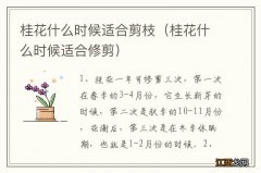 桂花什么时候适合修剪 桂花什么时候适合剪枝