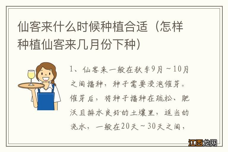 怎样种植仙客来几月份下种 仙客来什么时候种植合适