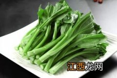 菜心可以保鲜多久