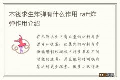 木筏求生炸弹有什么作用 raft炸弹作用介绍