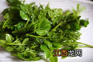 花椒芽可以做什么菜