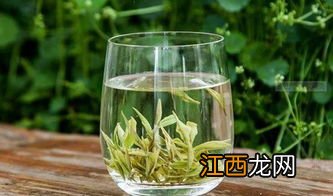 安吉白茶怎么看好不好