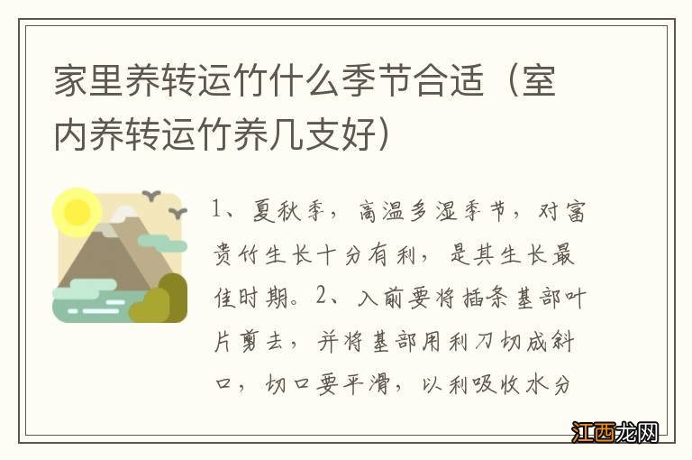 室内养转运竹养几支好 家里养转运竹什么季节合适