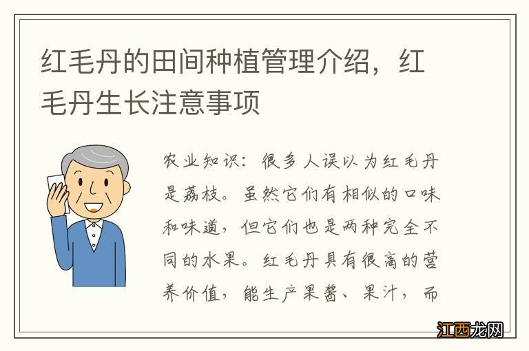 红毛丹的田间种植管理介绍，红毛丹生长注意事项