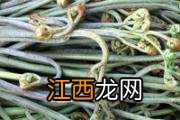 老人吃什么可以保护视力 老人护眼食谱有哪些