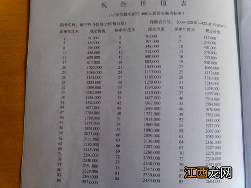 保险金额20000的意思