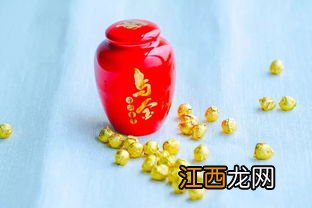 乌金茶叶怎么喝