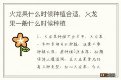 火龙果什么时候种植合适，火龙果一般什么时候种植