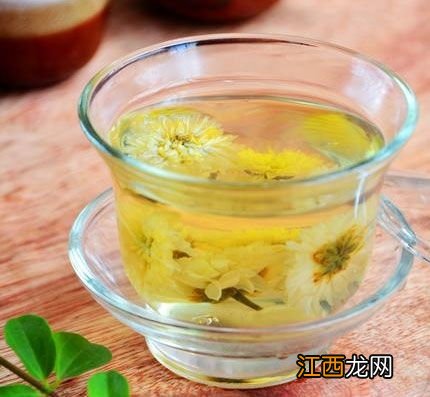 脾胃虚寒怎么喝菊花茶