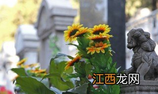 坟墓里不能放什么讲究 修坟墓禁忌什么