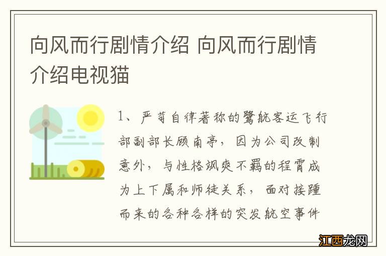 向风而行剧情介绍 向风而行剧情介绍电视猫