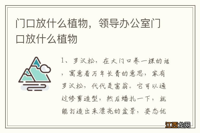 门口放什么植物，领导办公室门口放什么植物