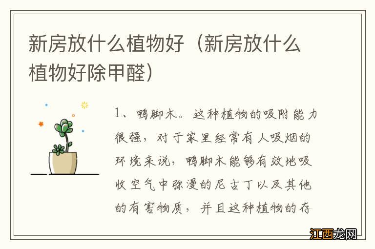 新房放什么植物好除甲醛 新房放什么植物好