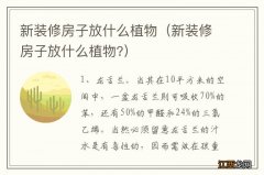 新装修房子放什么植物? 新装修房子放什么植物