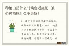 山药种植施什么肥最好 种植山药什么时候合适施肥