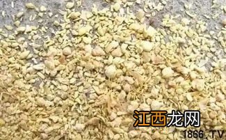 养猪用的豆粨是什么