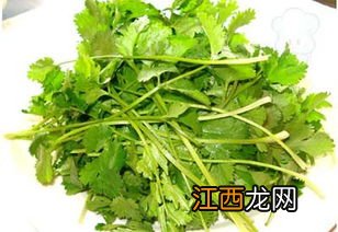 香菜什么药相克吗