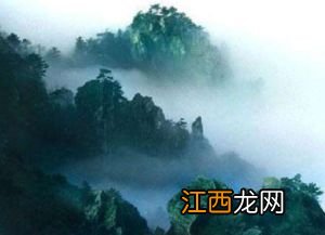 怎么样的庐山云雾