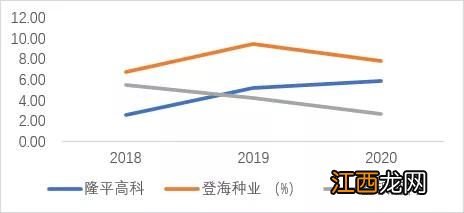 登海1717产量多高，附简介