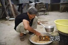 养鸡饲料加盐吗