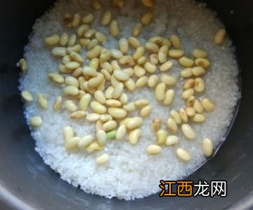 煮粥豆子泡多久