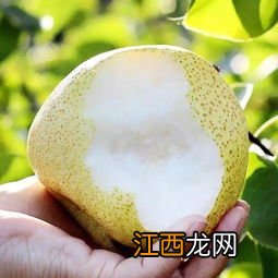 砀山梨怎么做