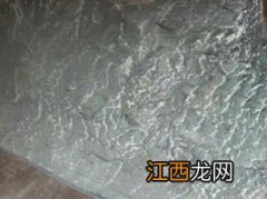 油漆茶绿青色怎么调