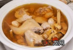 鸽子要炖多久