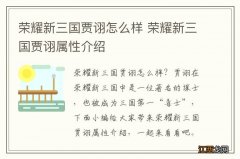 荣耀新三国贾诩怎么样 荣耀新三国贾诩属性介绍