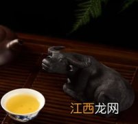 剩茶水怎么浇茶宠