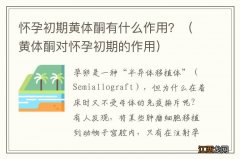 黄体酮对怀孕初期的作用 怀孕初期黄体酮有什么作用？