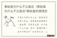 秦始皇为什么不立皇后?秦始皇的感情史 秦始皇为什么不立皇后