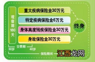 康宁终身分红型需要注意的细节是什么？